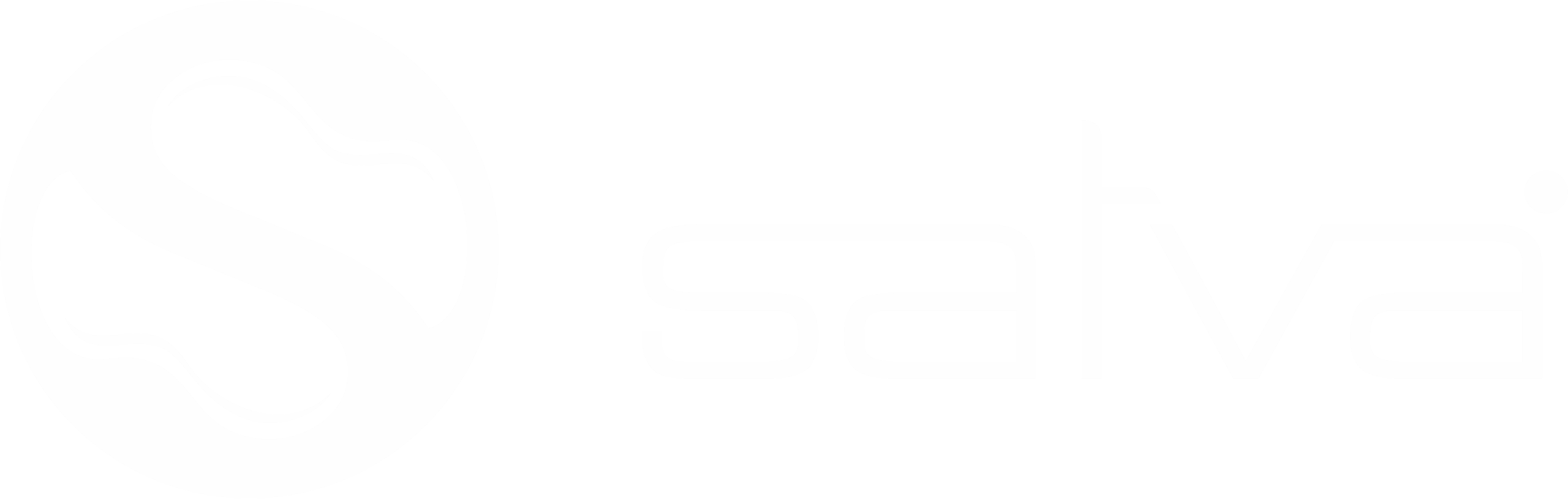 Satva_Coatings_Main_White_Logo